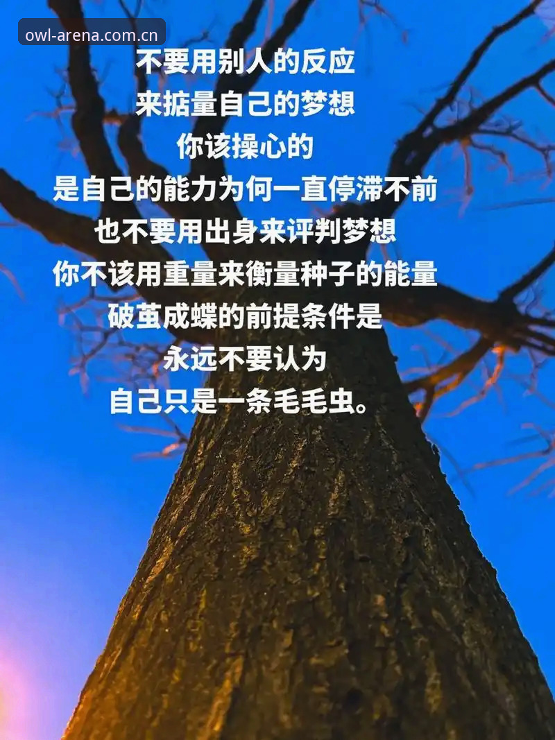 猫头鹰体育平台资质 揭秘猫头鹰体育平台资质:从数据加密到正版保障的深度解析